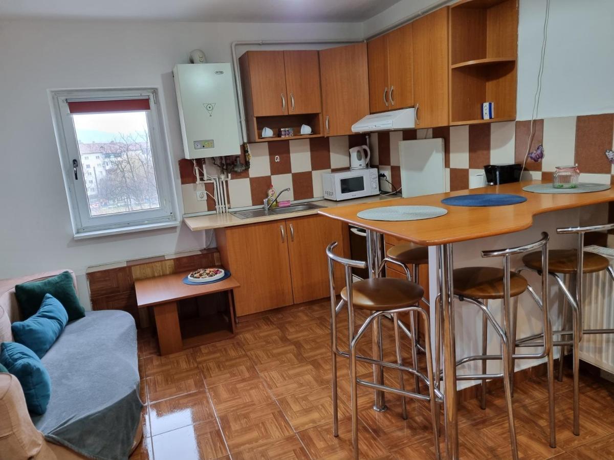 شقة Marya'S Râmnicu Vâlcea المظهر الخارجي الصورة
