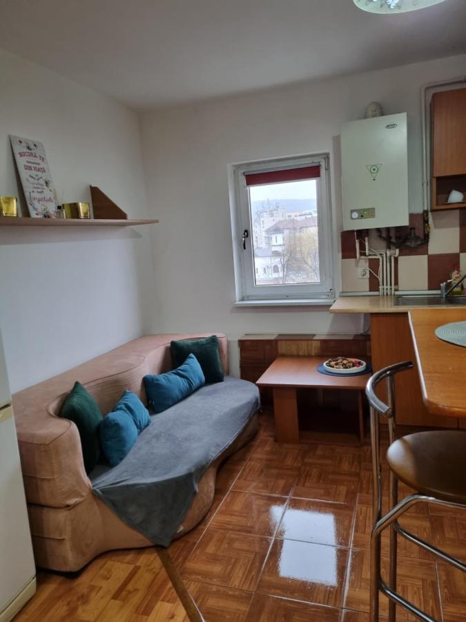 شقة Marya'S Râmnicu Vâlcea المظهر الخارجي الصورة